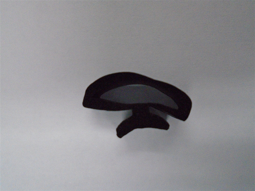 AEV Door Seal