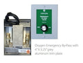 Emergency O2 Bypass Valve - AM-Z-TH0104