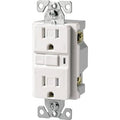 125V Duplex Receptacle, Lighted - RX-TRVGF15W-3