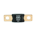 300 Amp Fuse - WT-46279
