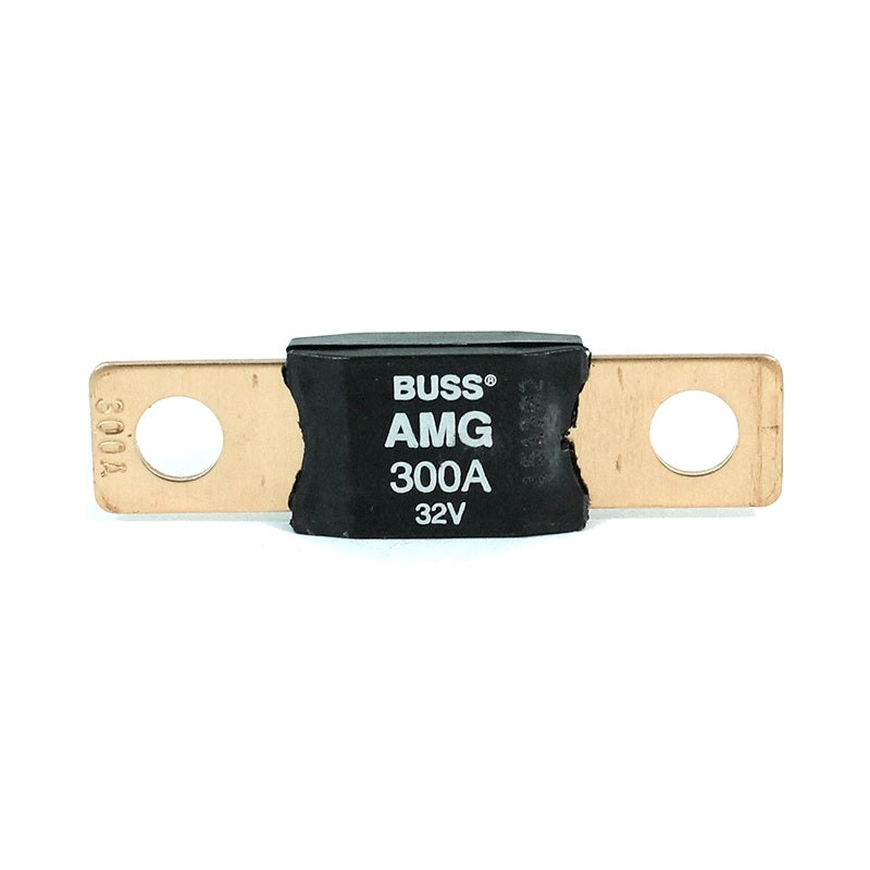 300 Amp Fuse - WT-46279